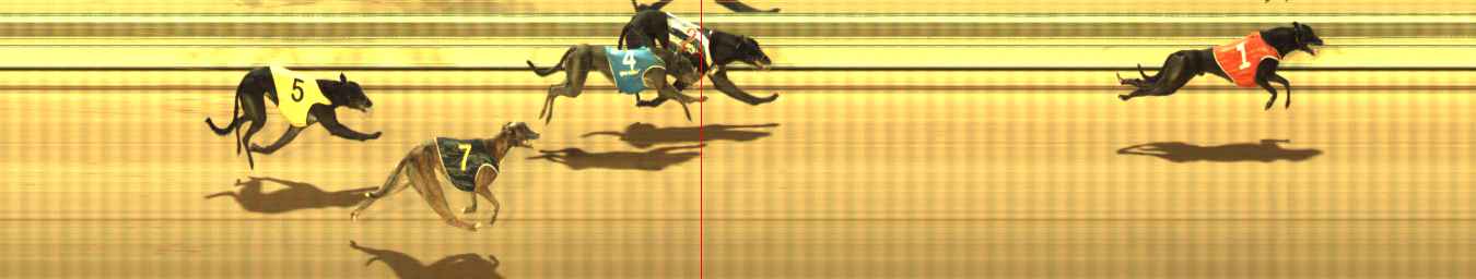 Photo finish for The Meadows Race 10