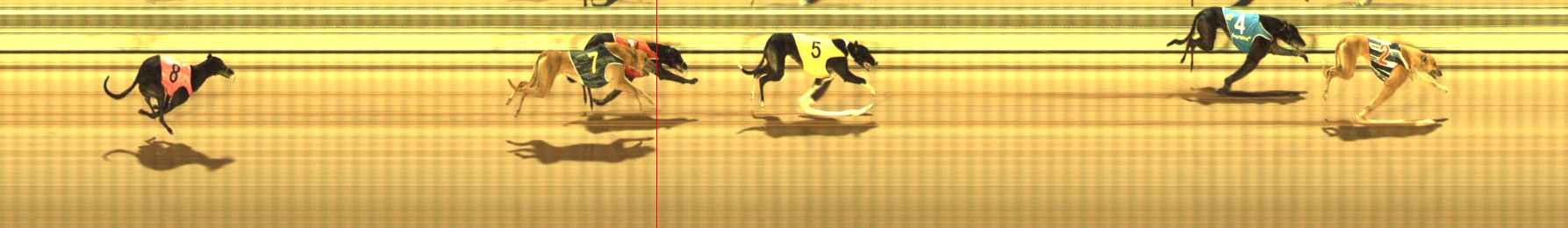 Photo finish for The Meadows Race 11