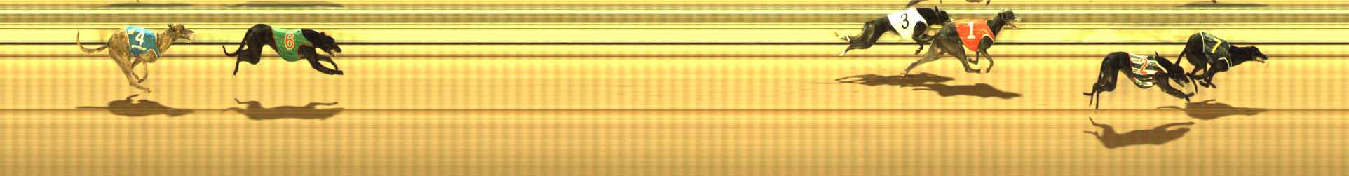 Photo finish for The Meadows Race 12