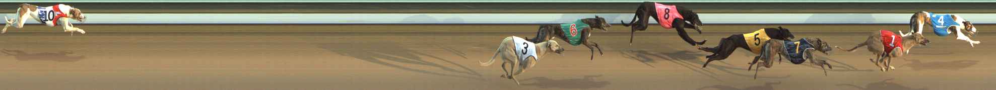 Photo finish for The Meadows Race 1
