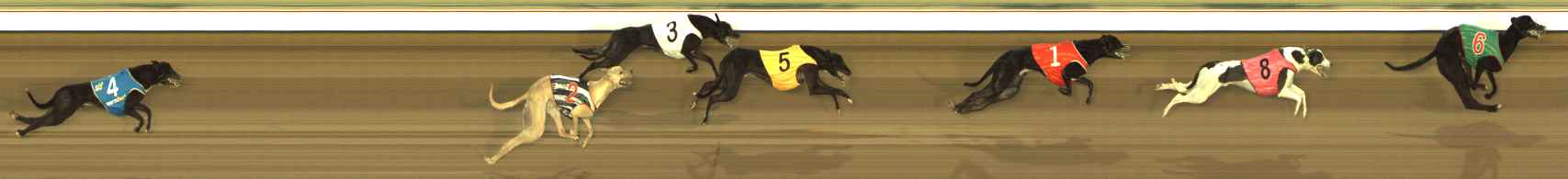 Photo finish for The Meadows Race 3