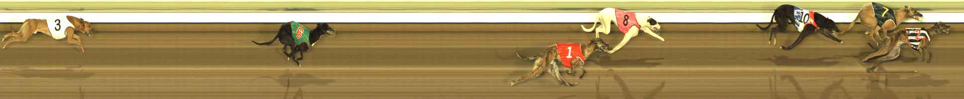 Photo finish for The Meadows Race 4