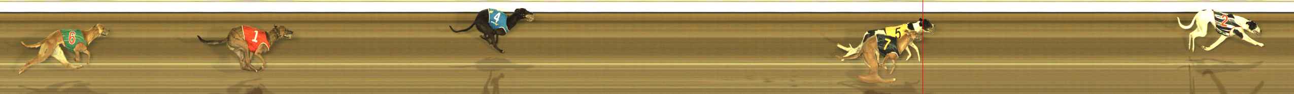 Photo finish for The Meadows Race 5