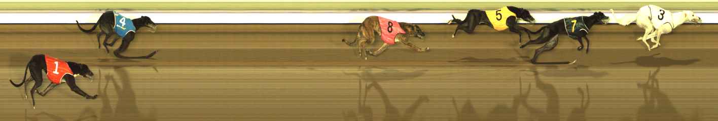 Photo finish for The Meadows Race 6