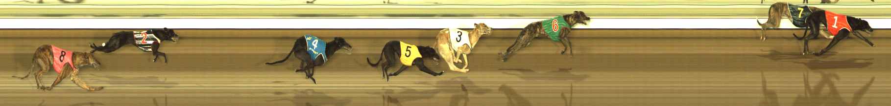 Photo finish for The Meadows Race 9