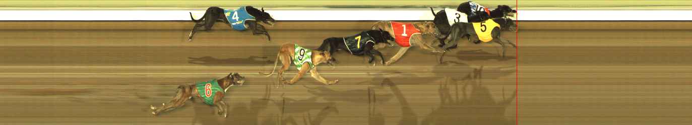 Photo finish for The Meadows Race 10