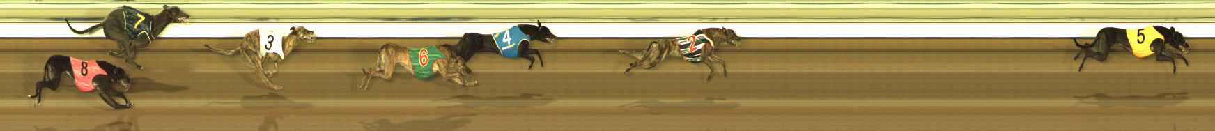 Photo finish for The Meadows Race 11