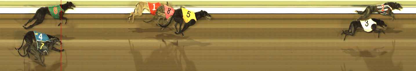 Photo finish for The Meadows Race 12