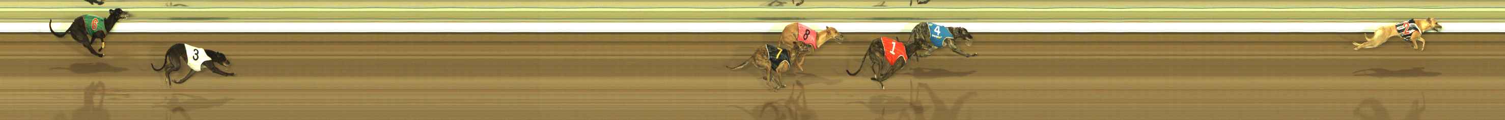 Photo finish for The Meadows Race 3