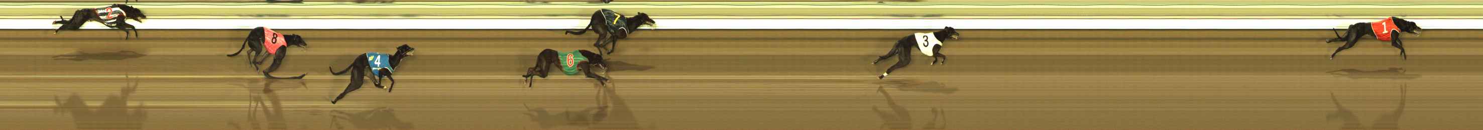 Photo finish for The Meadows Race 4