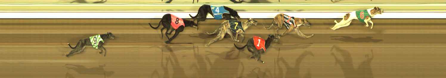 Photo finish for The Meadows Race 8