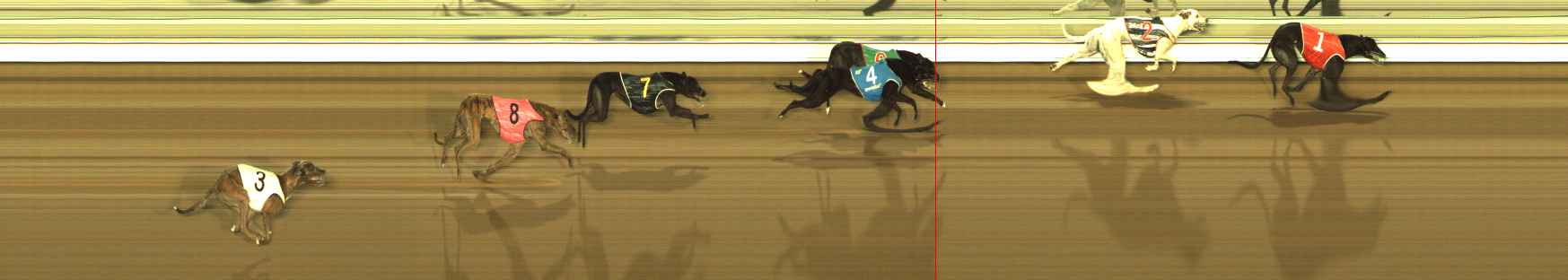 Photo finish for The Meadows Race 9