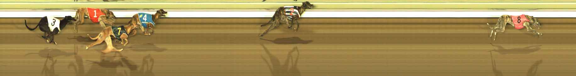 Photo finish for The Meadows Race 10