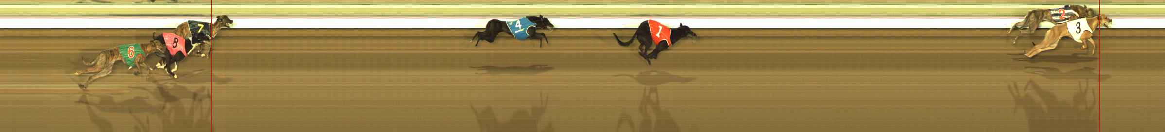 Photo finish for The Meadows Race 11