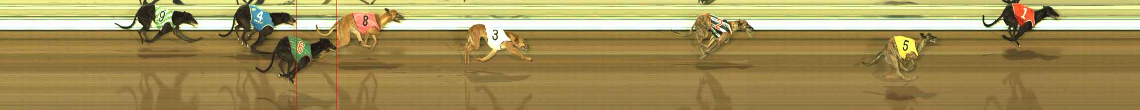 Photo finish for The Meadows Race 5