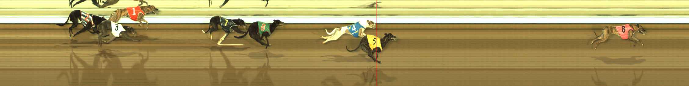 Photo finish for The Meadows Race 8