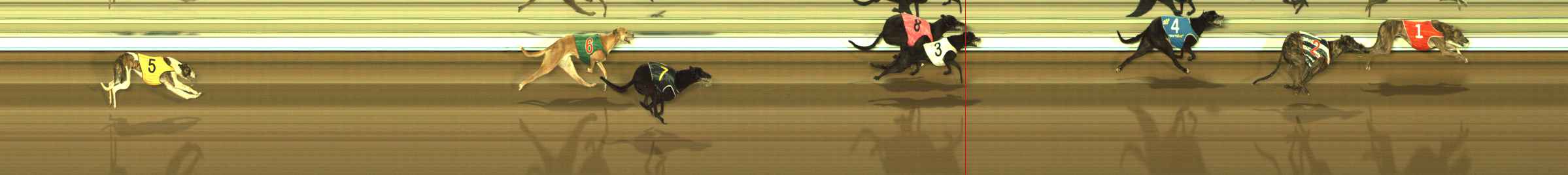 Photo finish for The Meadows Race 10