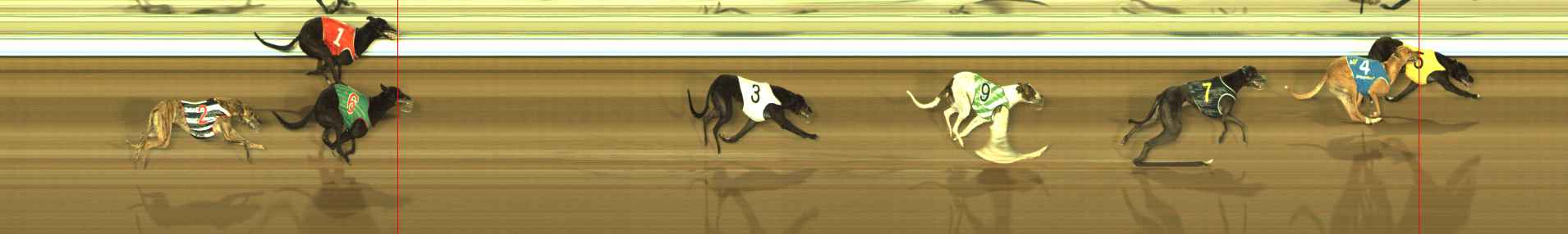 Photo finish for The Meadows Race 11