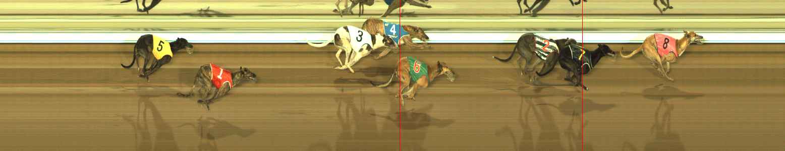 Photo finish for The Meadows Race 12