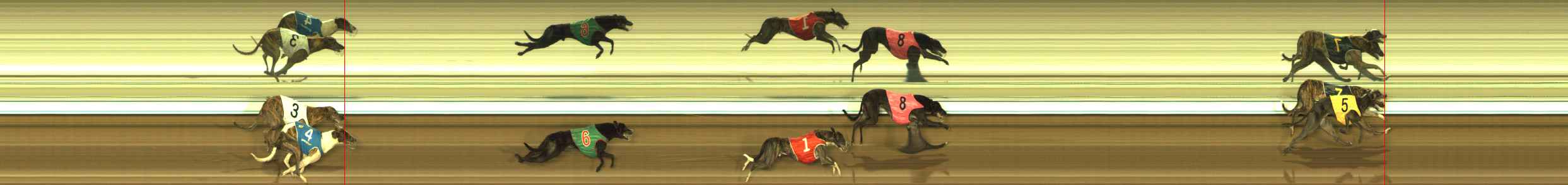 Photo finish for The Meadows Race 8