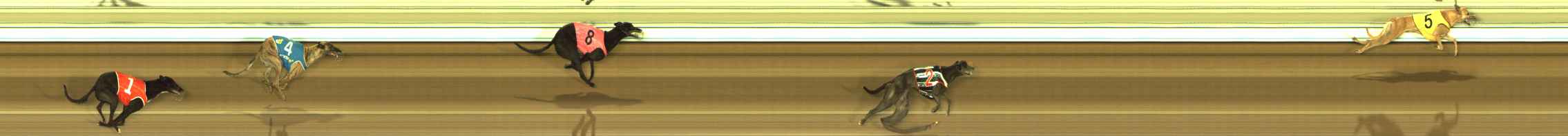 Photo finish for The Meadows Race 9