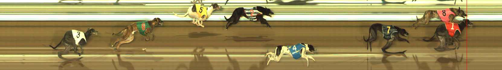 Photo finish for The Meadows Race 11