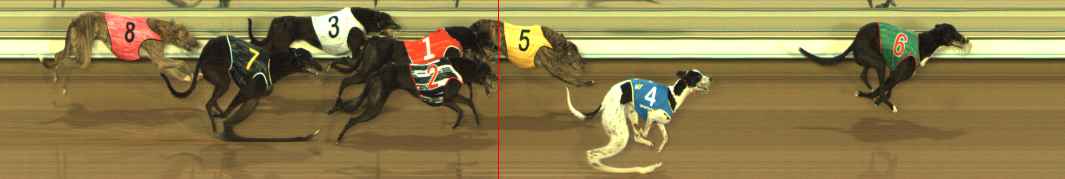 Photo finish for The Meadows Race 4