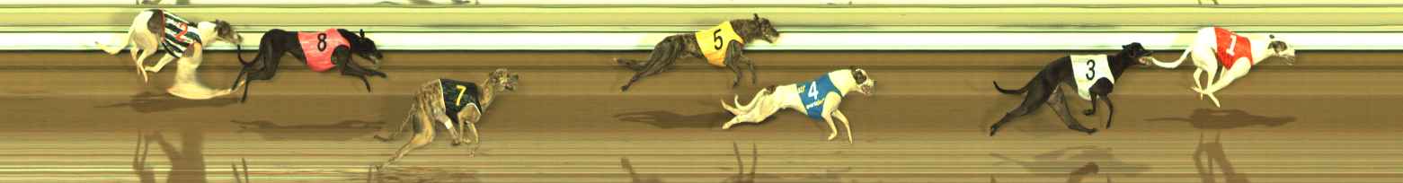 Photo finish for The Meadows Race 6