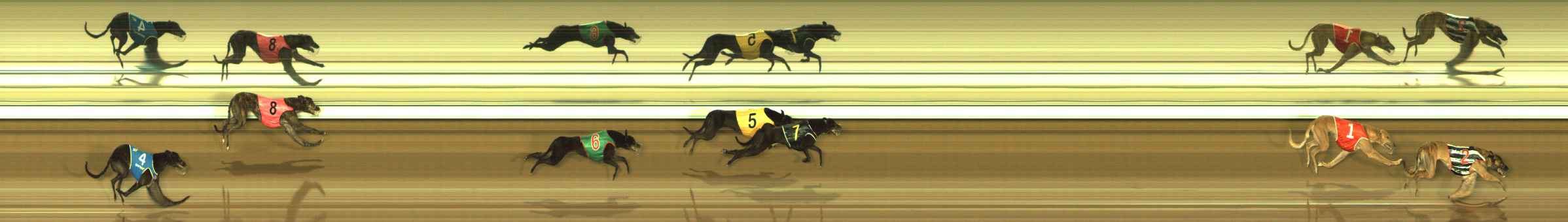 Photo finish for The Meadows Race 7