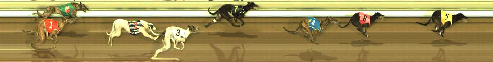 Photo finish for The Meadows Race 11