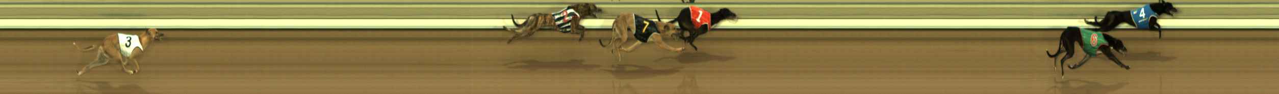 Photo finish for The Meadows Race 4