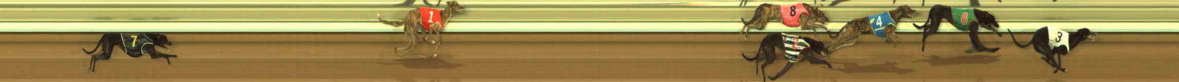 Photo finish for The Meadows Race 5