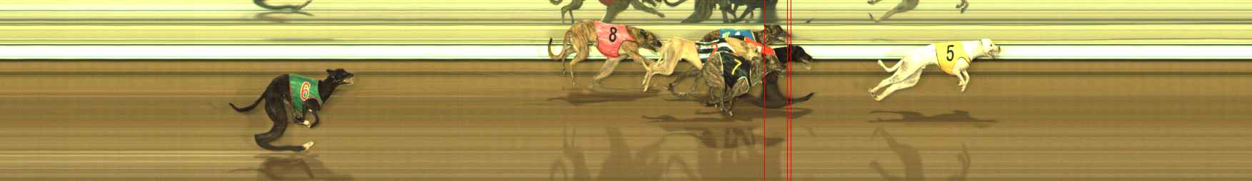 Photo finish for The Meadows Race 8