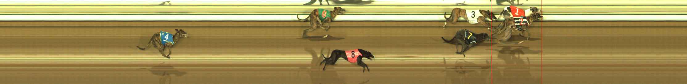 Photo finish for The Meadows Race 10