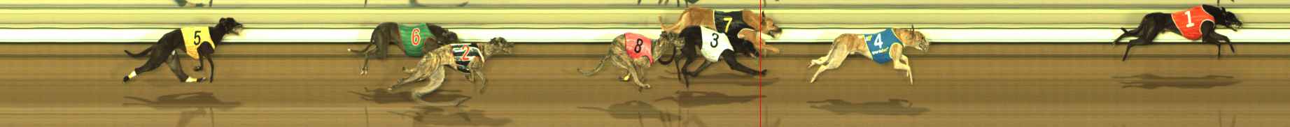 Photo finish for The Meadows Race 12