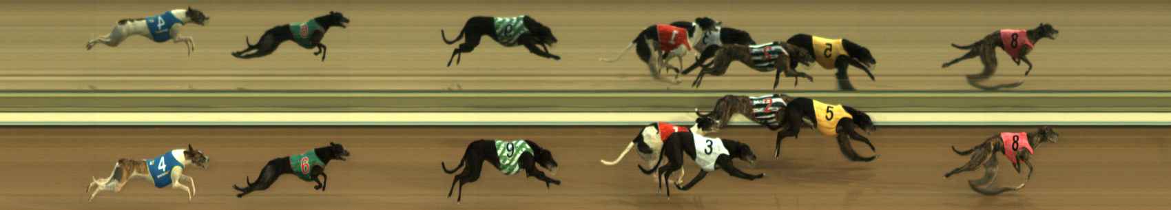 Photo finish for The Meadows Race 4