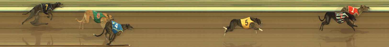 Photo finish for The Meadows Race 5