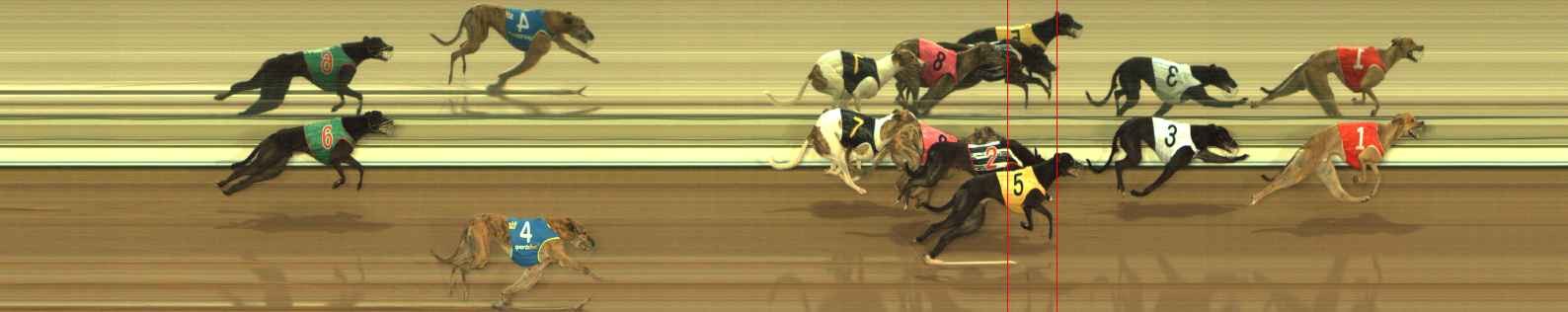 Photo finish for The Meadows Race 6