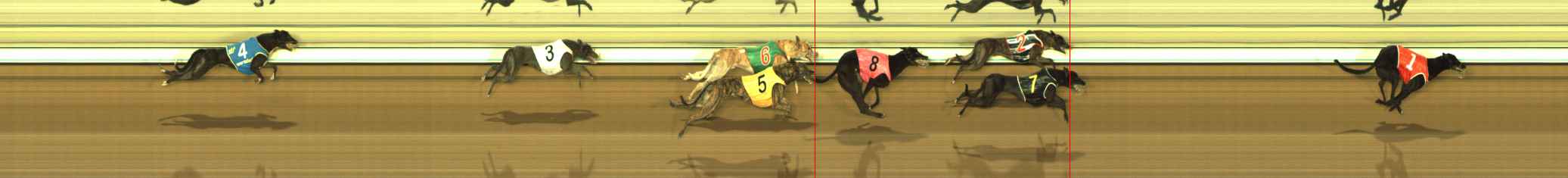 Photo finish for The Meadows Race 11