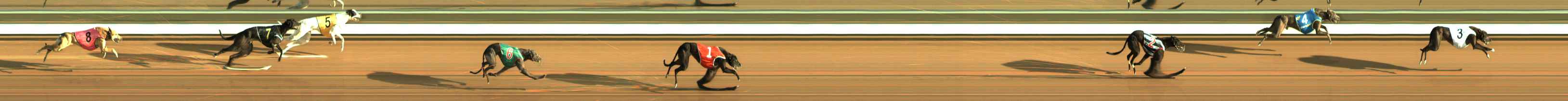 Photo finish for The Meadows Race 3