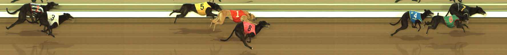 Photo finish for The Meadows Race 6