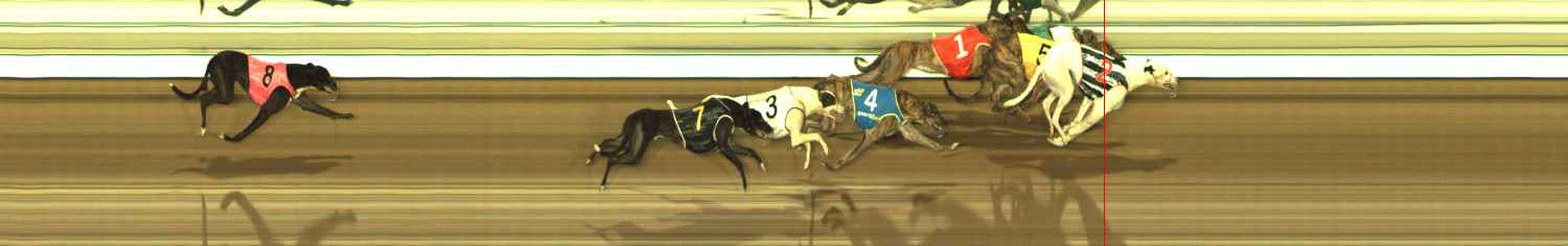 Photo finish for The Meadows Race 8