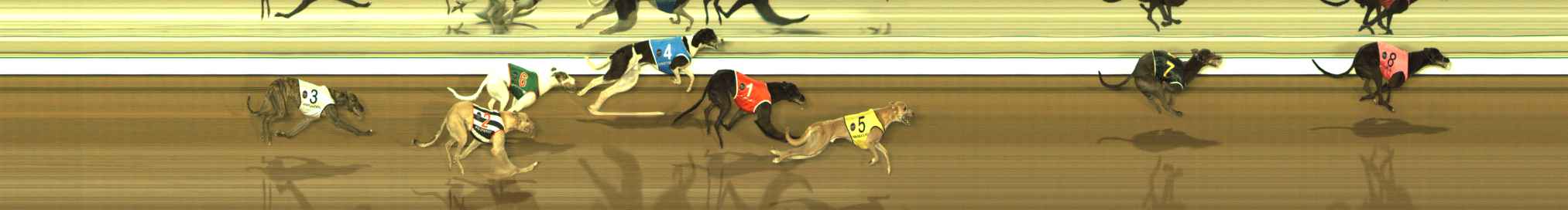 Photo finish for The Meadows Race 10