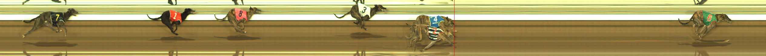 Photo finish for The Meadows Race 7