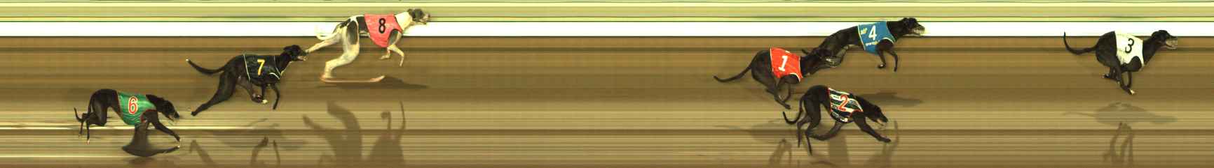Photo finish for The Meadows Race 8