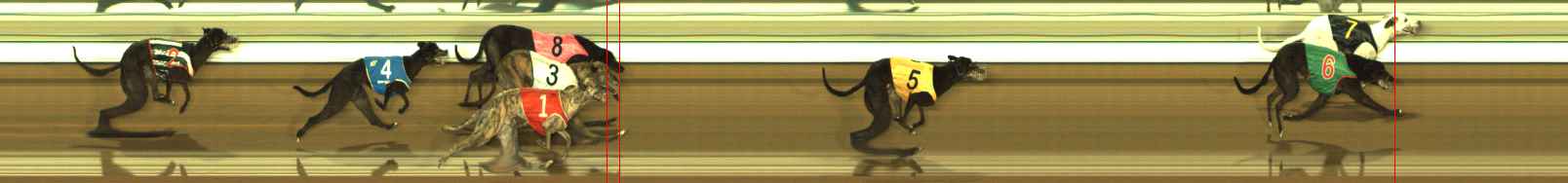 Photo finish for The Meadows Race 11