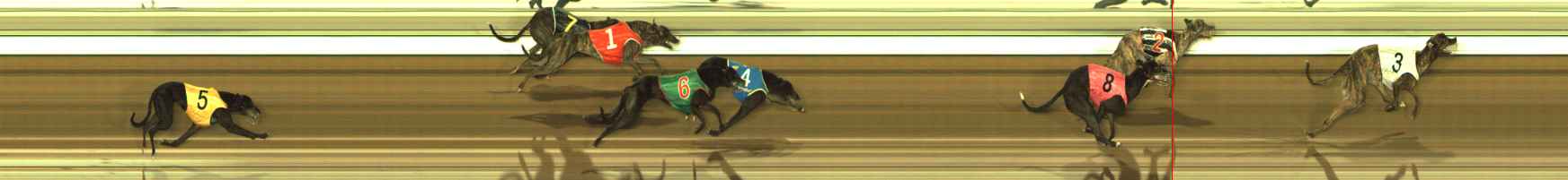 Photo finish for The Meadows Race 12