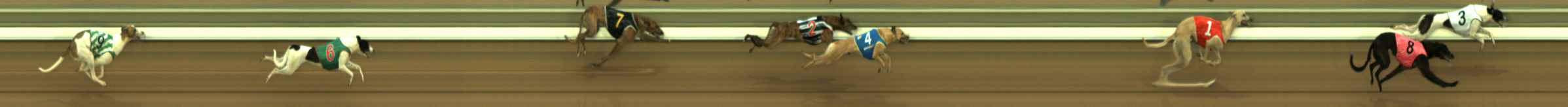 Photo finish for The Meadows Race 1