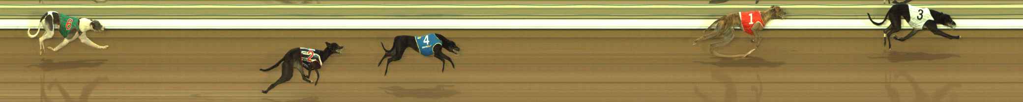 Photo finish for The Meadows Race 4