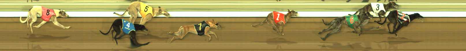 Photo finish for The Meadows Race 5